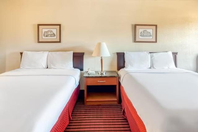 Hotel Oyo Tx Hwy 59